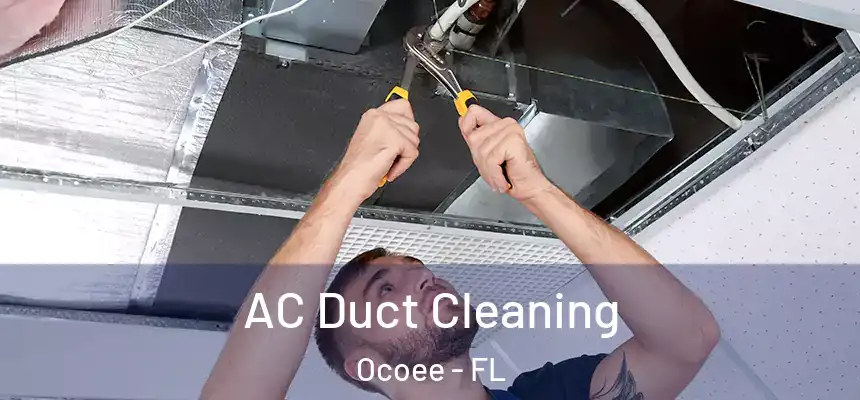  AC Duct Cleaning Ocoee - FL
