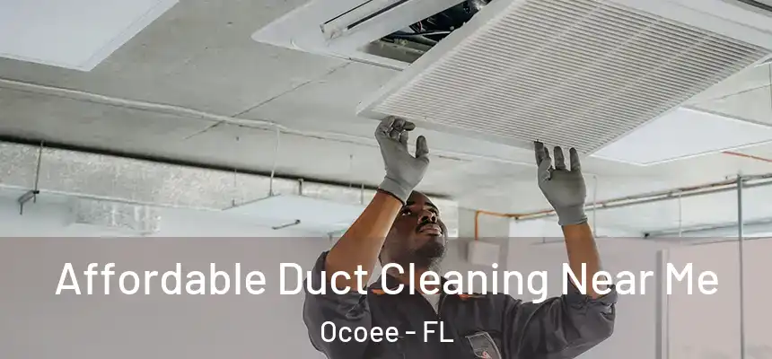  Affordable Duct Cleaning Near Me Ocoee - FL