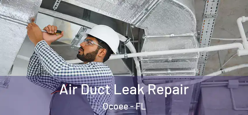  Air Duct Leak Repair Ocoee - FL
