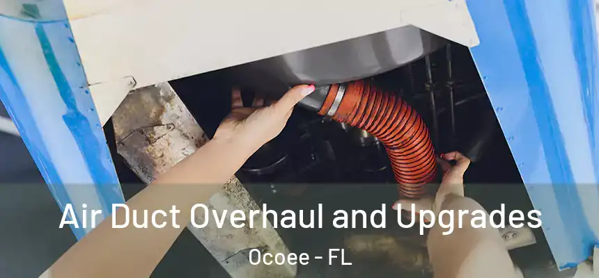  Air Duct Overhaul and Upgrades Ocoee - FL