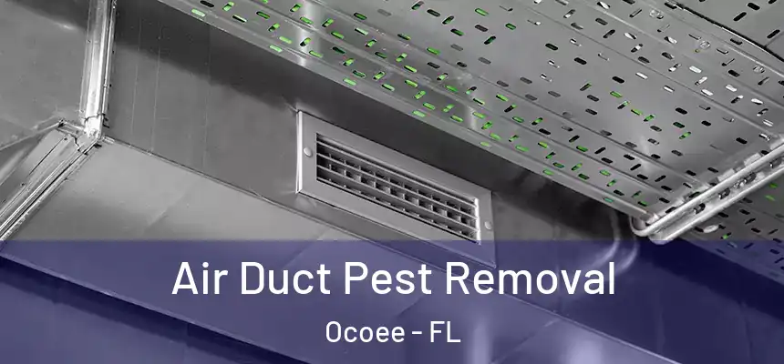 Air Duct Pest Removal Ocoee - FL