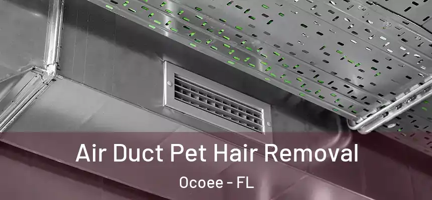  Air Duct Pet Hair Removal Ocoee - FL