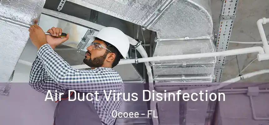  Air Duct Virus Disinfection Ocoee - FL