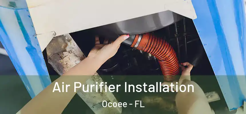  Air Purifier Installation Ocoee - FL