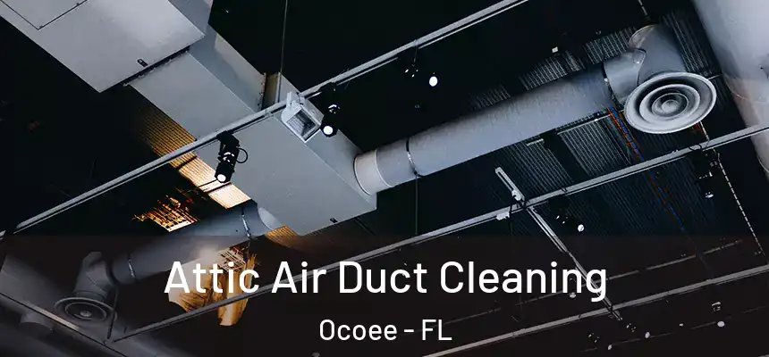  Attic Air Duct Cleaning Ocoee - FL
