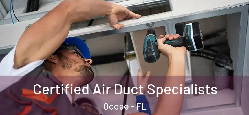  Certified Air Duct Specialists Ocoee - FL