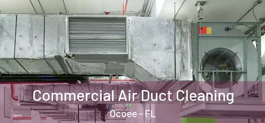  Commercial Air Duct Cleaning Ocoee - FL