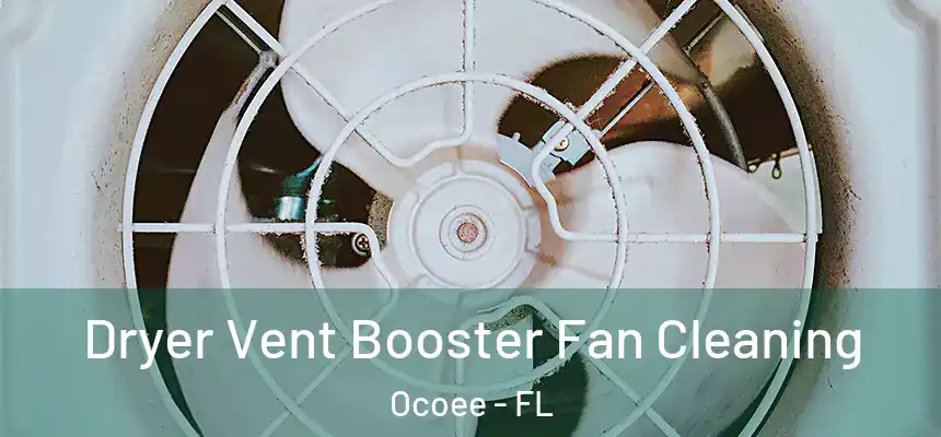  Dryer Vent Booster Fan Cleaning Ocoee - FL