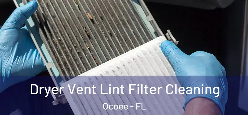  Dryer Vent Lint Filter Cleaning Ocoee - FL