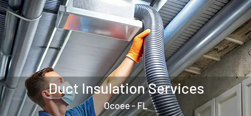 Duct Insulation Services Ocoee - FL