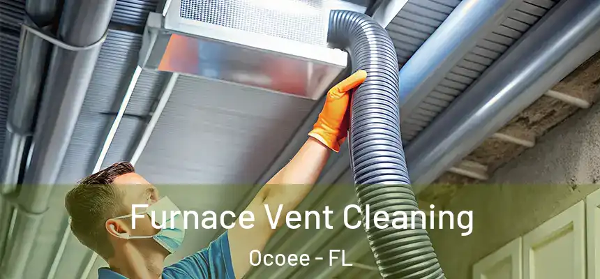  Furnace Vent Cleaning Ocoee - FL