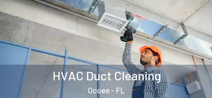  HVAC Duct Cleaning Ocoee - FL