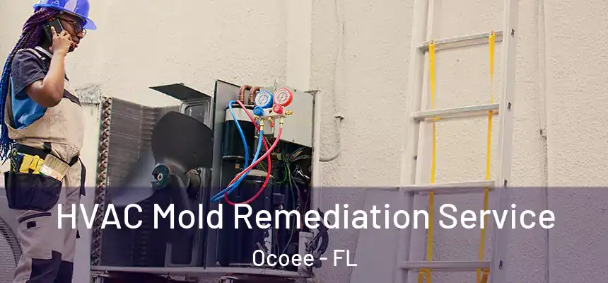  HVAC Mold Remediation Service Ocoee - FL