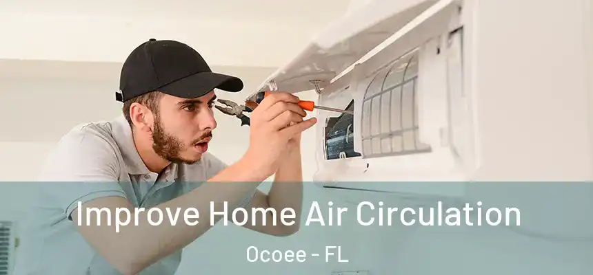 Improve Home Air Circulation Ocoee - FL
