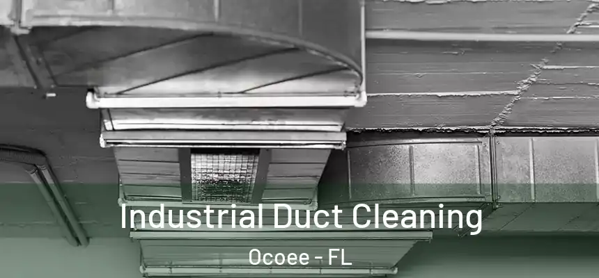  Industrial Duct Cleaning Ocoee - FL