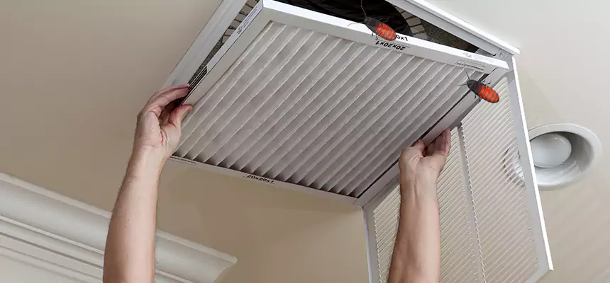 Preventive Cockroach-Proofing for Ducts in Ocoee