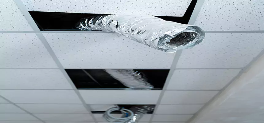 Affordable HVAC Sanitizing After Pest Removal in Ocoee