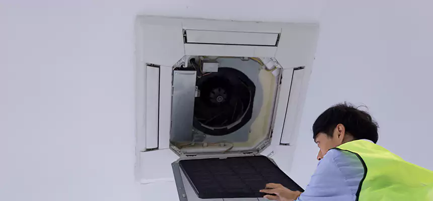 Our Dryer Vent Sanitization Service Services in Ocoee, FL