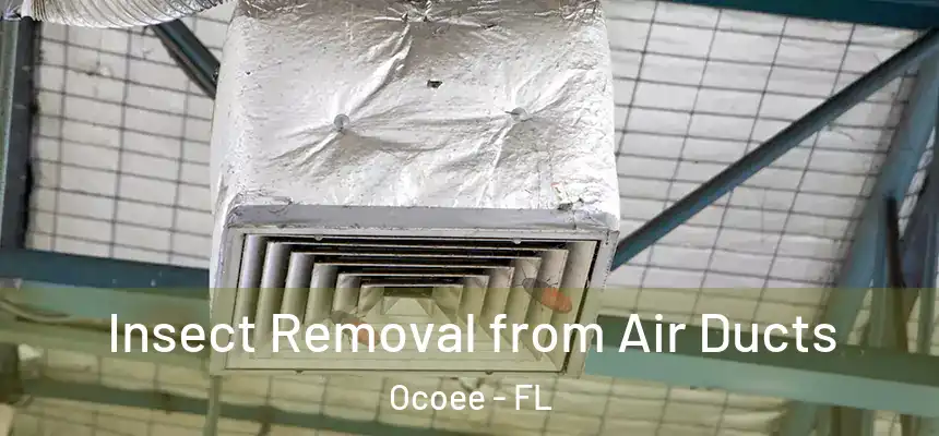  Insect Removal from Air Ducts Ocoee - FL