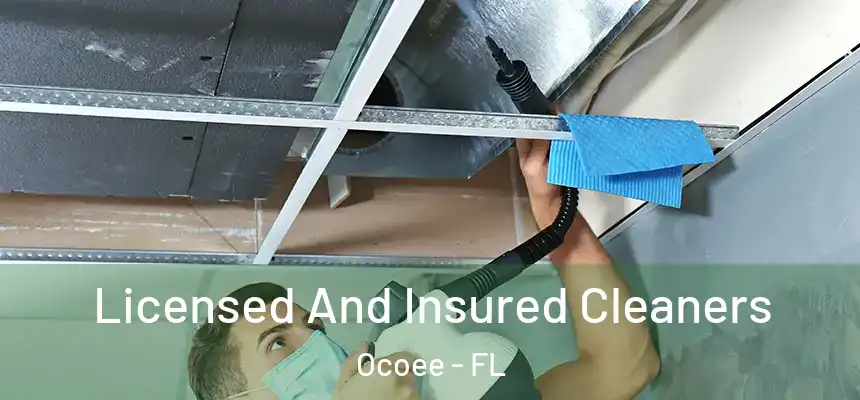  Licensed And Insured Cleaners Ocoee - FL