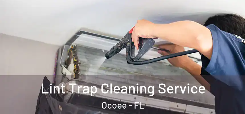  Lint Trap Cleaning Service Ocoee - FL