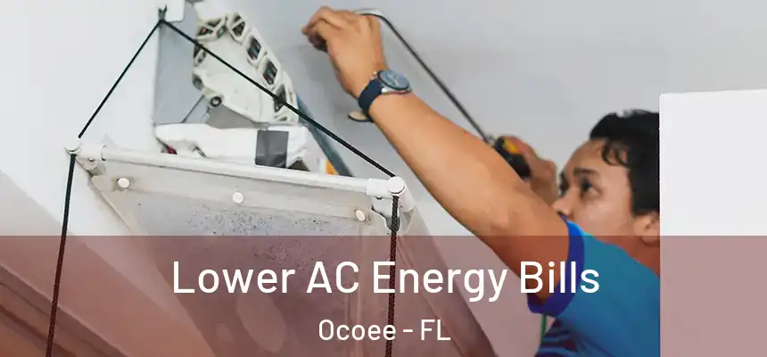  Lower AC Energy Bills Ocoee - FL