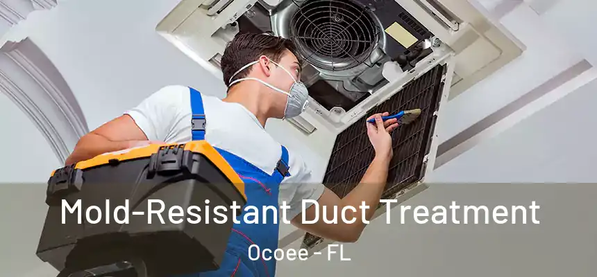  Mold-Resistant Duct Treatment Ocoee - FL