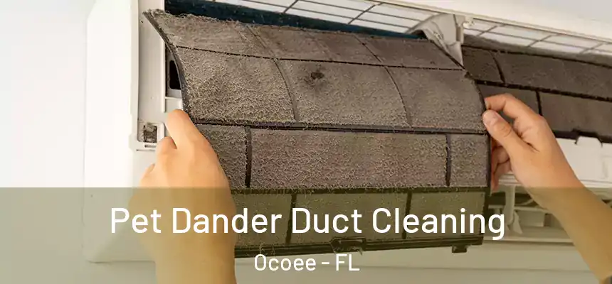  Pet Dander Duct Cleaning Ocoee - FL