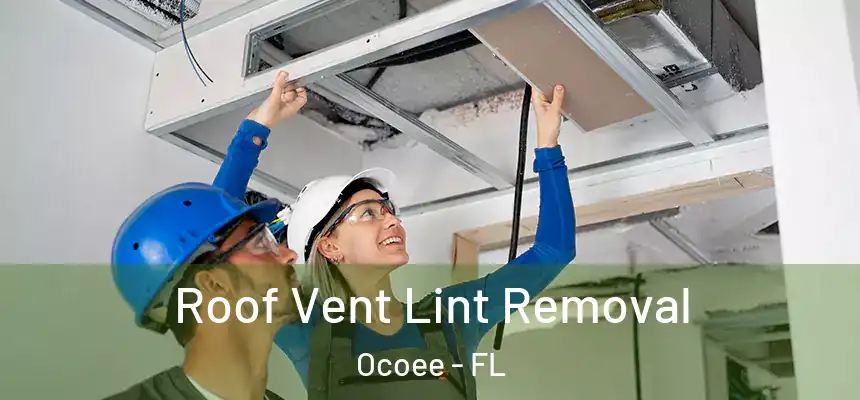 Roof Vent Lint Removal Ocoee - FL