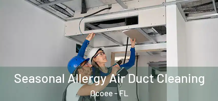  Seasonal Allergy Air Duct Cleaning Ocoee - FL