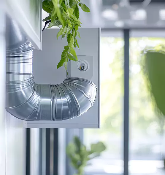 Professional Eco-Safe Dryer Vent Cleaning in Ocoee, FL