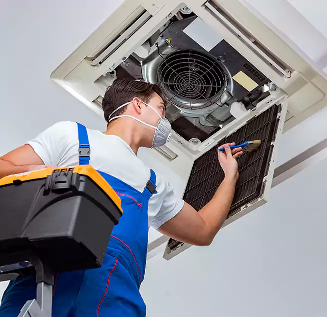 Why Homeowners & Businesses Trust Us in Ocoee, FL?