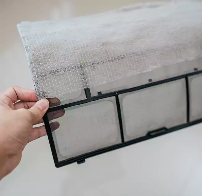 Why Homeowners & Businesses Trust Us in Ocoee, FL?