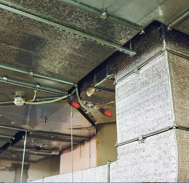 Why Homeowners & Businesses Trust Us Ocoee, FL?