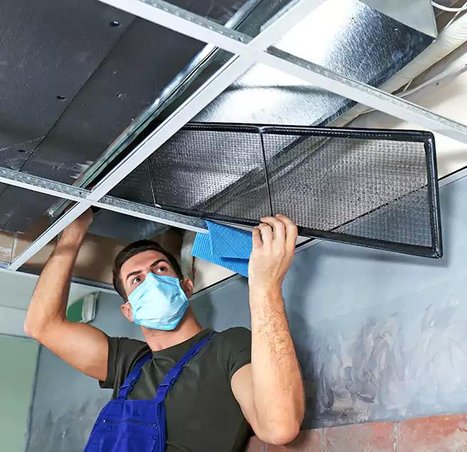 Why Homeowners Businesses Trust Us in Ocoee, FL