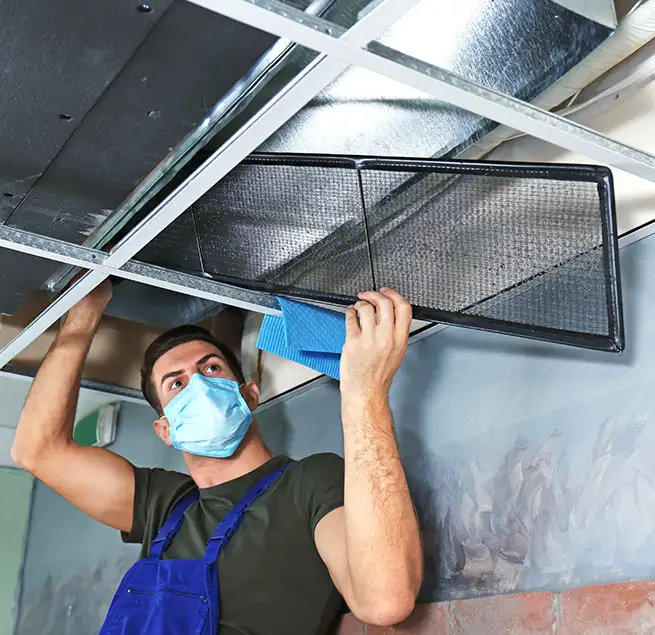 Why Homeowners & Businesses Trust Us in Ocoee, FL?