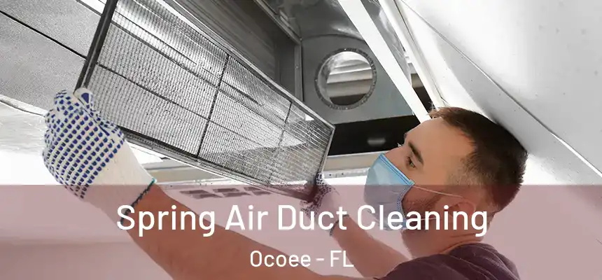 Spring Air Duct Cleaning Ocoee - FL