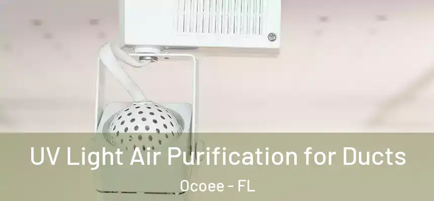  UV Light Air Purification for Ducts Ocoee - FL
