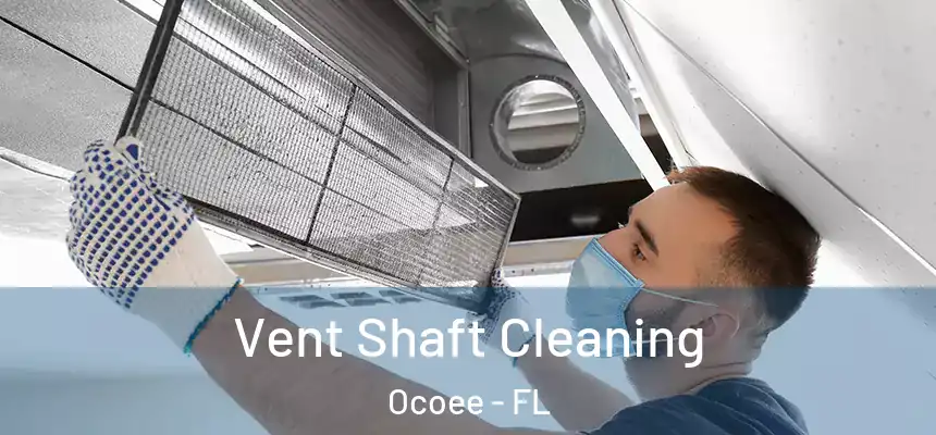  Vent Shaft Cleaning Ocoee - FL