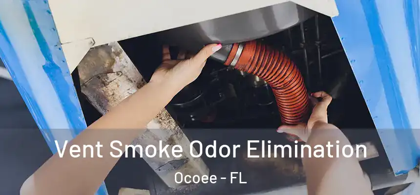 Vent Smoke Odor Elimination Ocoee - FL