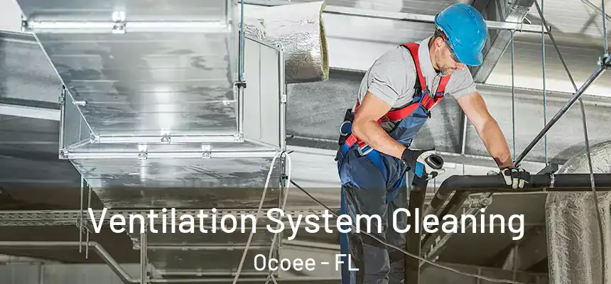  Ventilation System Cleaning Ocoee - FL