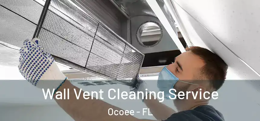  Wall Vent Cleaning Service Ocoee - FL