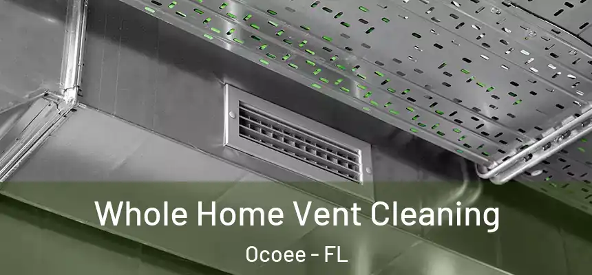  Whole Home Vent Cleaning Ocoee - FL
